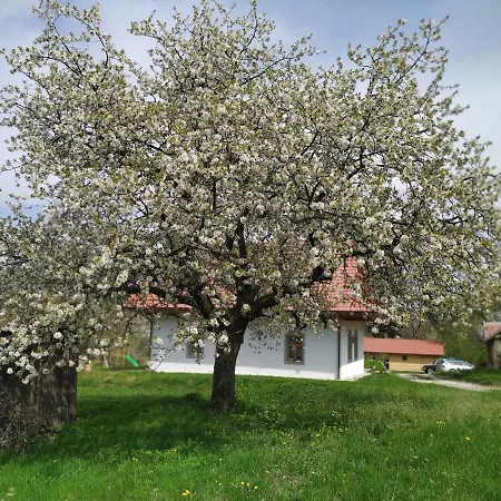 Na Jablonci